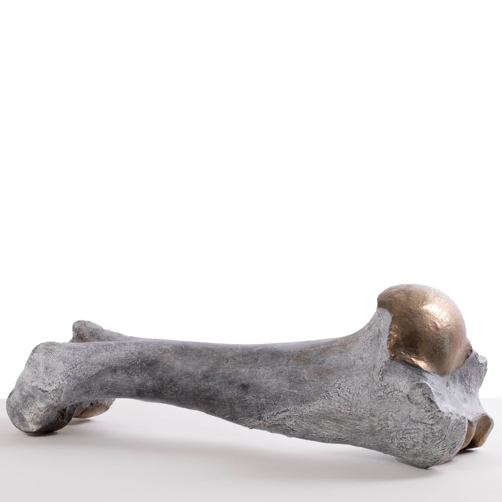 Bronze Giraffe Femur