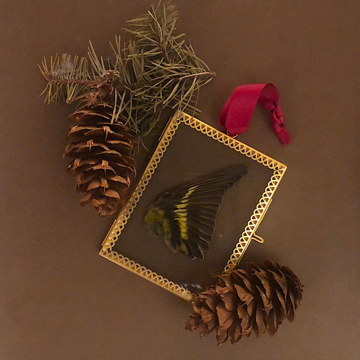 Small Framed Wing