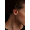 Gold Dog's Tooth  Earrings