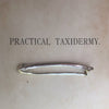 Silver Kestrel Wing Bone