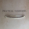 Silver Kestrel Wing Bone
