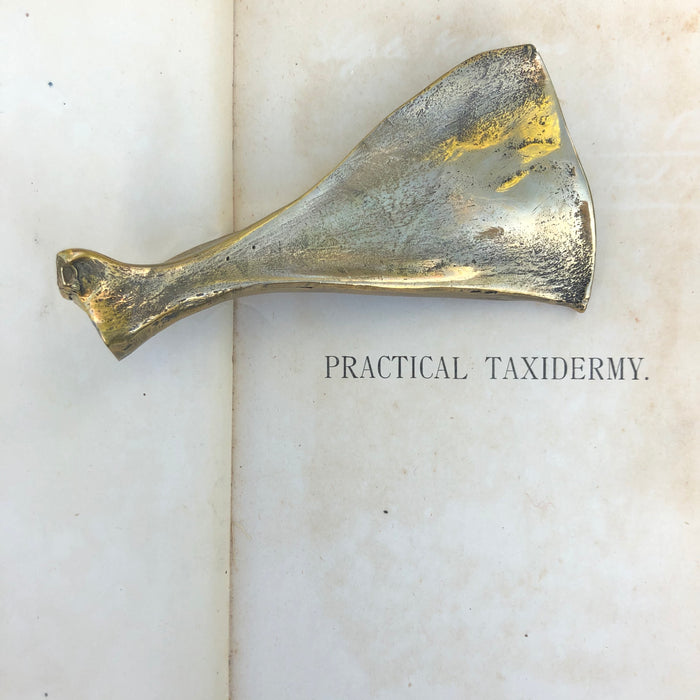 Brass Lamb Scapula
