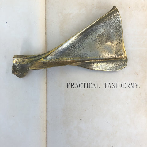 Brass Lamb Scapula