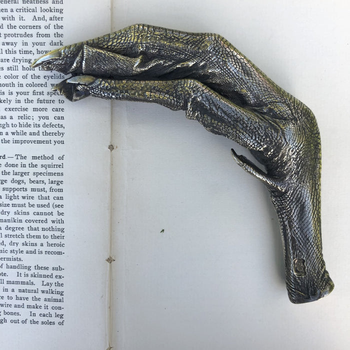 Bronze Swans Foot