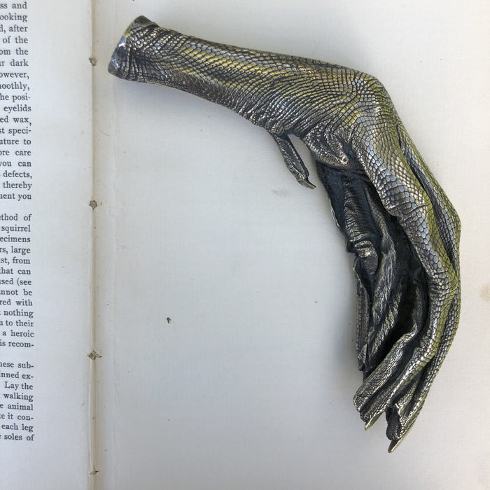 Bronze Swans Foot