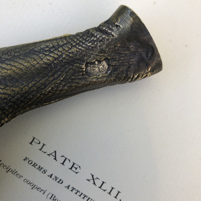 Bronze Swans Foot