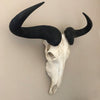 Blue Wildebeest