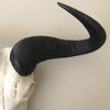 Blue Wildebeest